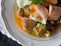 Salade de lentilles corail, saumon & oeuf mollet