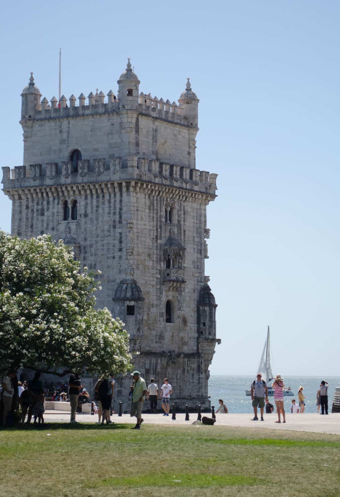 {Coup de coeur} Les pasteis de nata