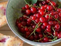 Financiers aux framboises & groseilles