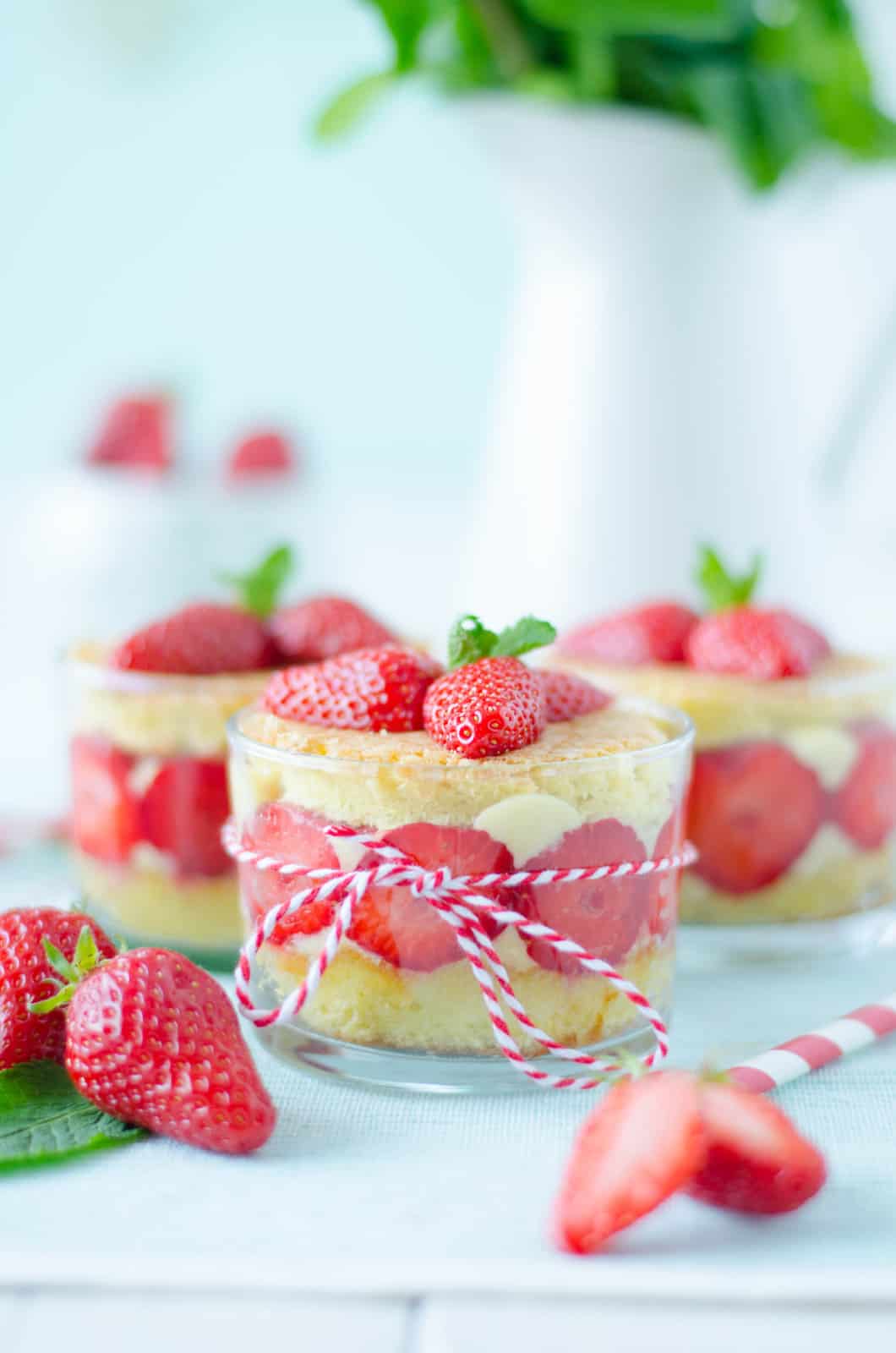 Fraisier en verrine
