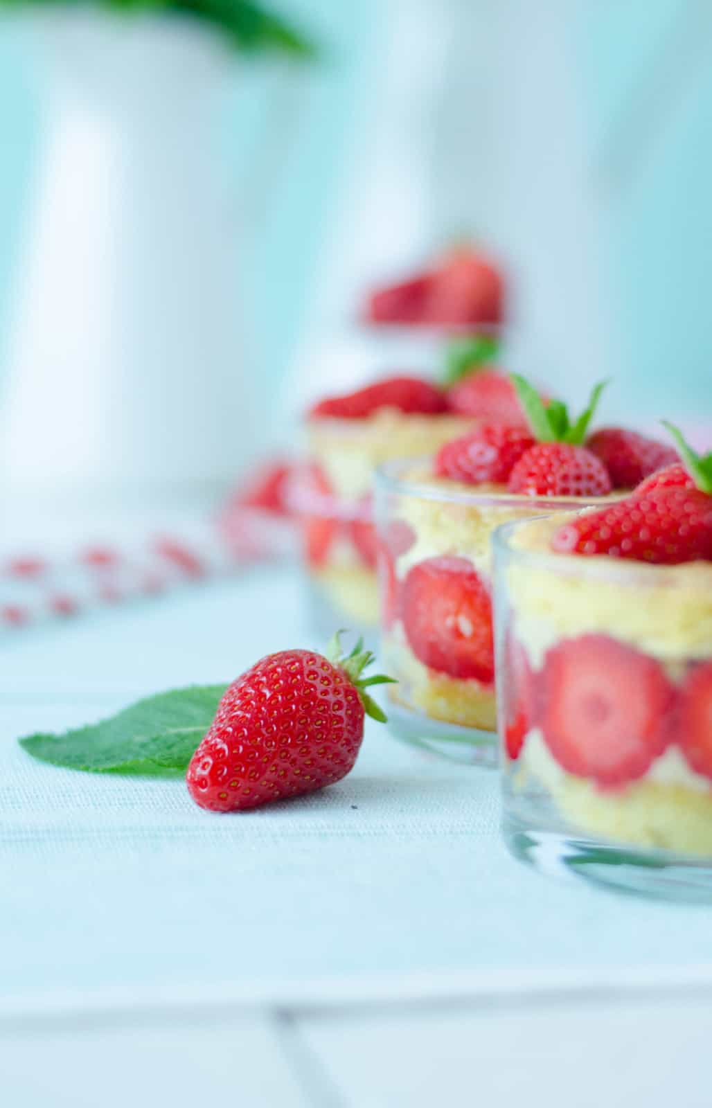 Fraisier en verrine