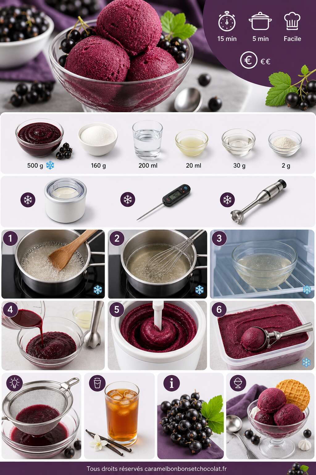Fiche recette Sorbet cassis : recette rafra&icirc;chissante et facile