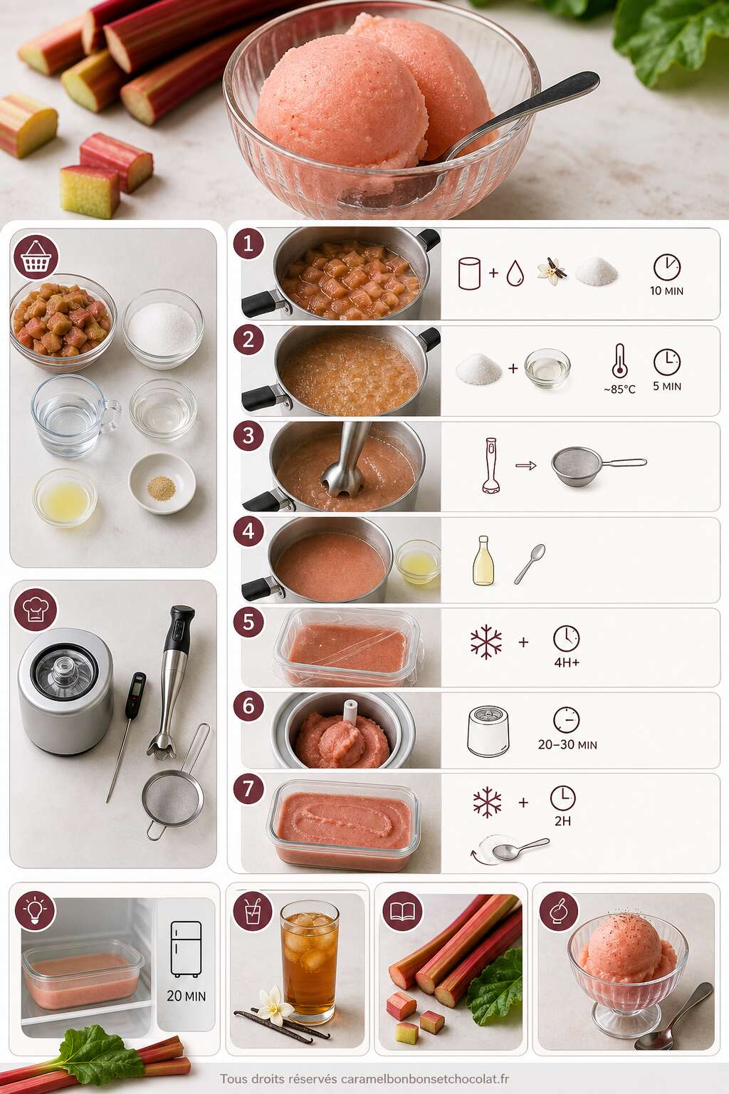 Fiche recette Recette de sorbet &agrave; la rhubarbe maison
