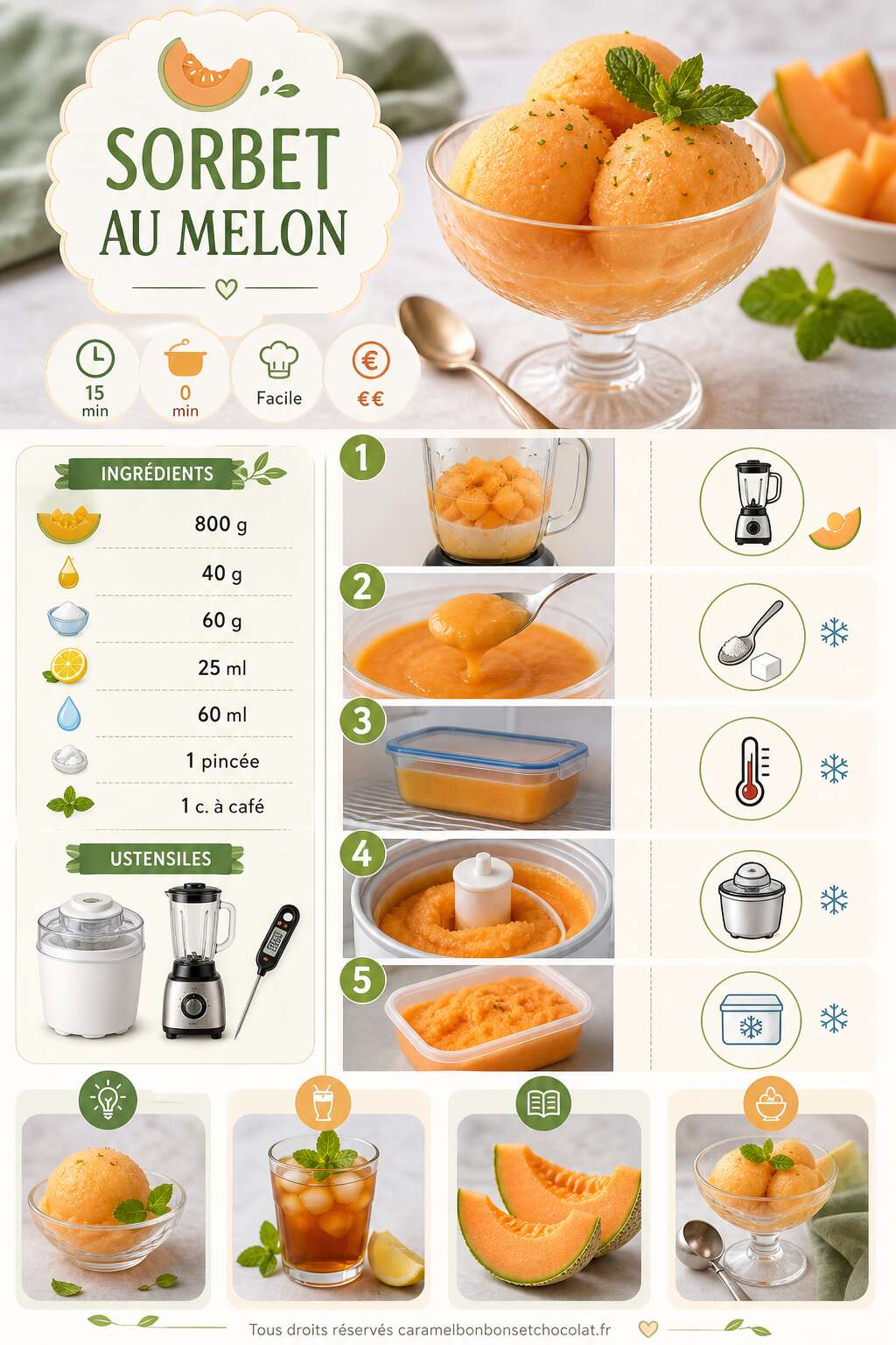 Fiche recette Sorbet au melon : recette facile et rafraîchissante Fiche recette Sorbet au melon : recette facile et rafraîchissante